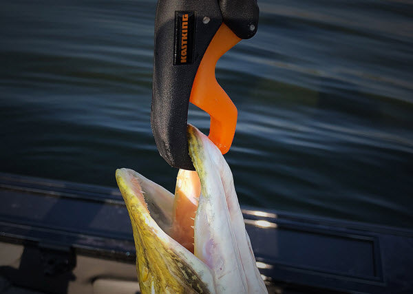 KastKing Fishing Scale - Weigh 'Em and Release 'Em!