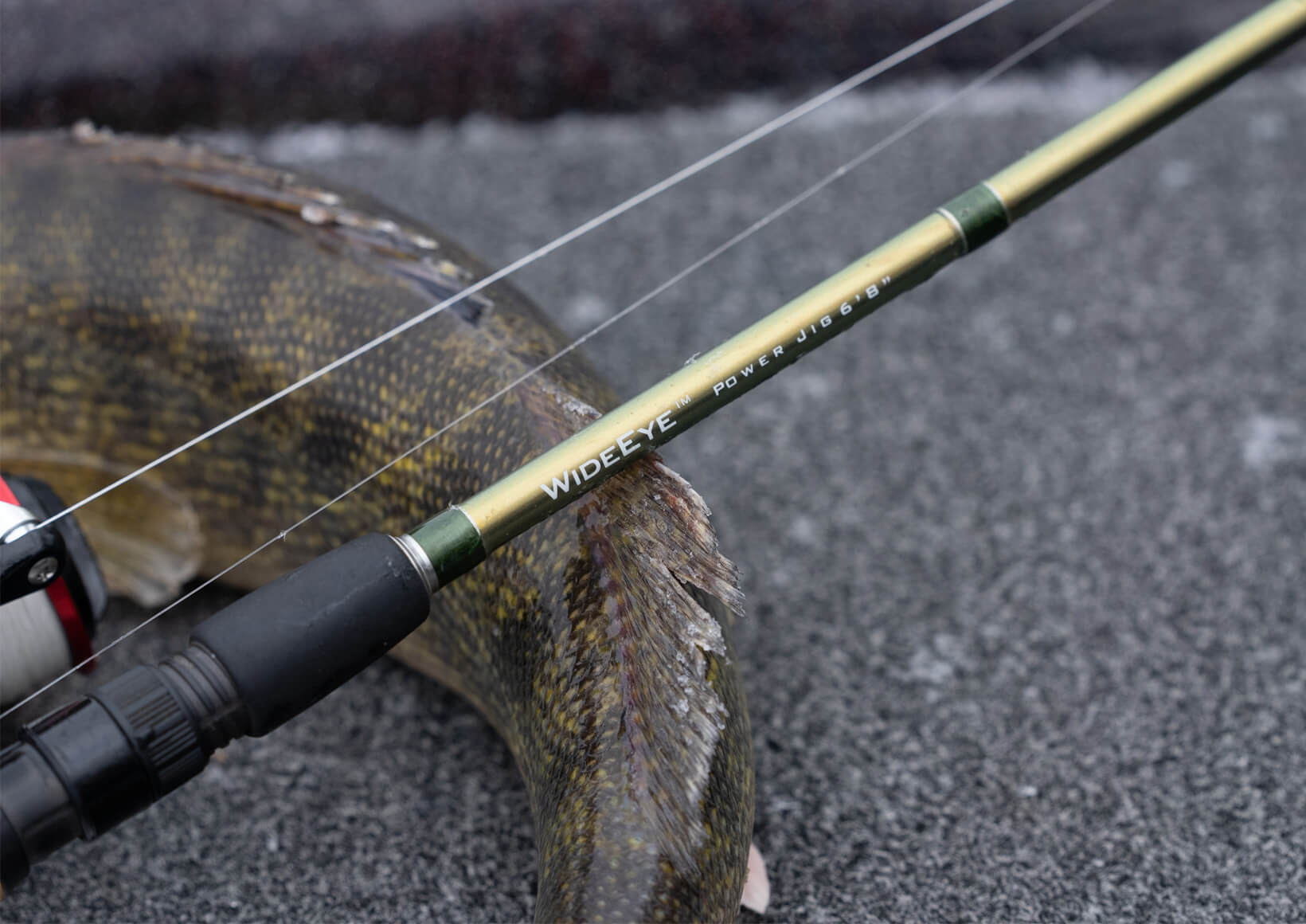 Best Fishing Rods Under $100 KastKing Best Fishing Rods Under $100 KastKing