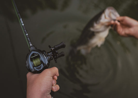 Bait Finesse Fishing For Bass