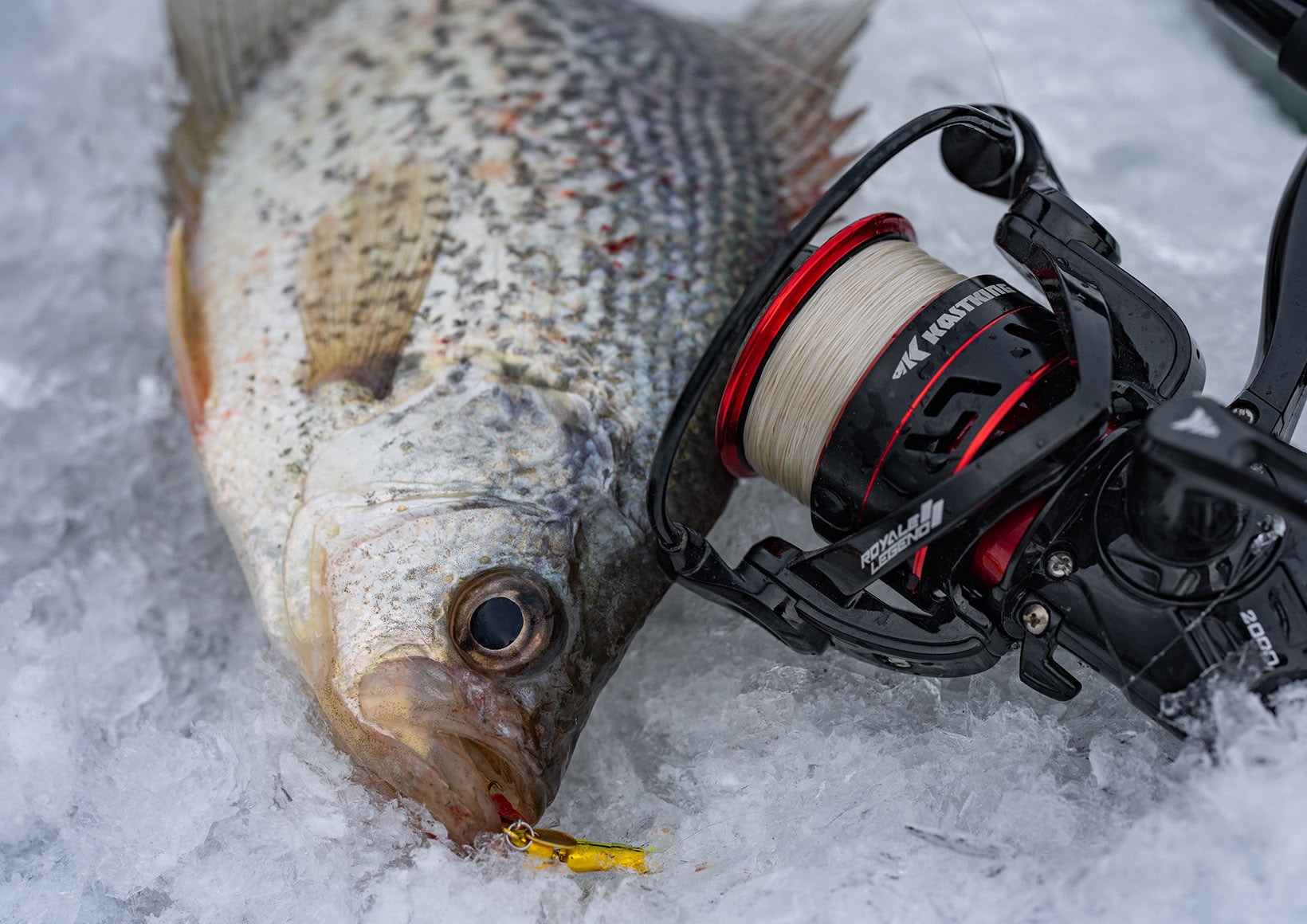 best mono line for ice fishing Reaction Tackle Monofilament Reaction Tackle Nylon Monofilament Fishing Line available in clear Guide's Pick: The Best Ice