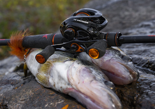 Fishing Tips for Beginners