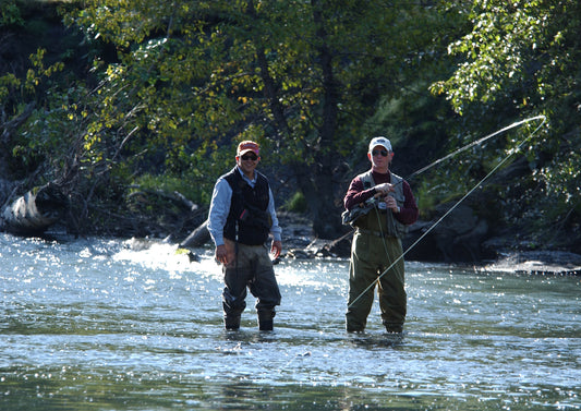 Best Fly Fishing Rod For Beginners