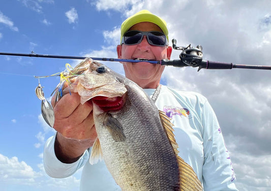This chunk jumped all over a spinnerbait fished during the pre-spawn that was fished along a lily pad edge. 