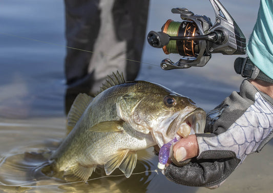 Finesse bass fishing