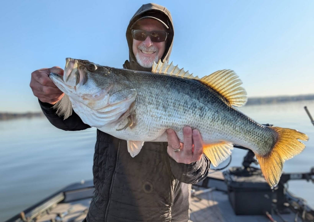 Why Bass Move to Deep Water in Winter—and How to Fish Them