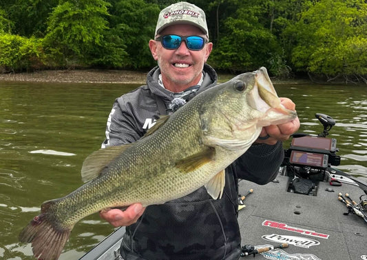How to catch bass during the fall transition