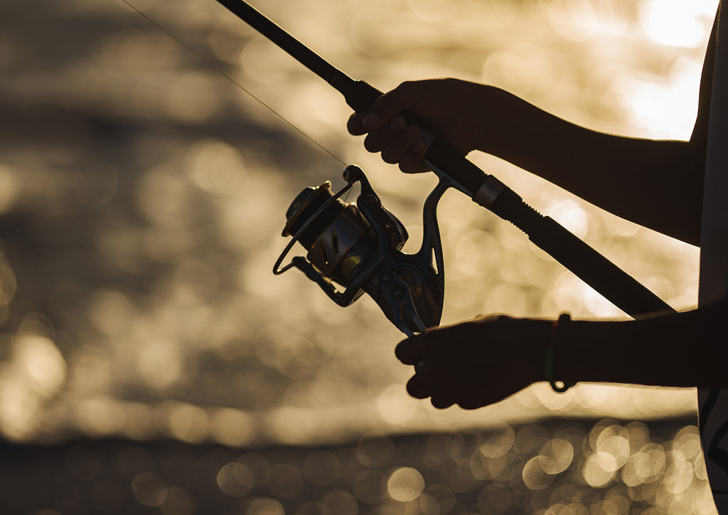 How to Pick the Best Saltwater Fishing Rods – KastKing