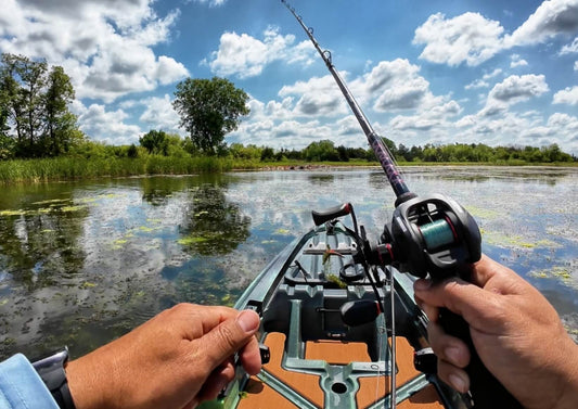 Angler targeting largemouth bass in a shallow lake with visible vegetation and shoreline cover.