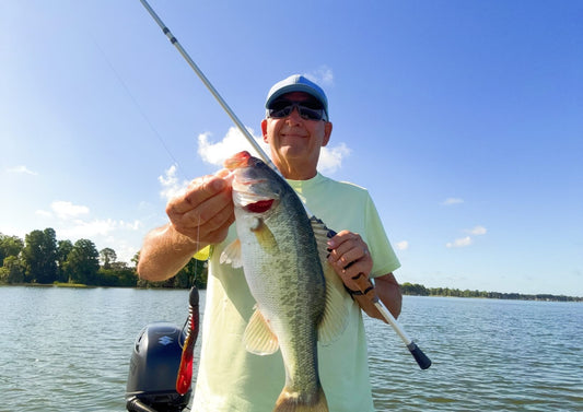 Largemouth bass caught using a Texas Rig soft plastic bait during spring bass fishing in heavy cover vegetation