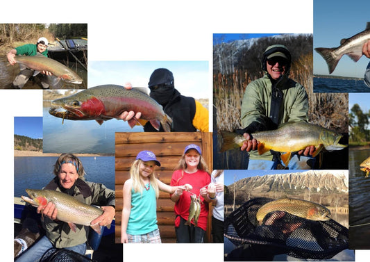 A collage showing anglers holding different trout species, including rainbow, brown, tiger, steelhead, and speckled trout