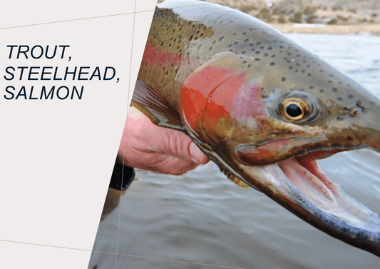 Trout, steelhead, and salmon fishing training overview showing techniques and species differences