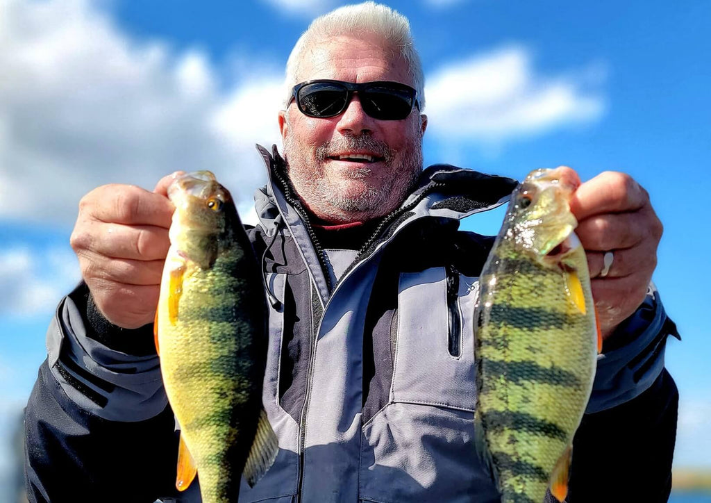 How to Catch Perch in the Spring: Yellow Perch Fishing Techniques ...