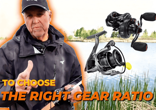 How to choose the right fishing reel gear ratio for bass fishing and different techniques