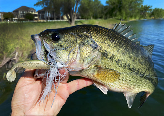 3 Top Lures for Summertime Bass Fishing
