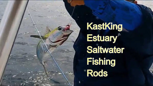 KastKing Saltwater Fishing Gear Review