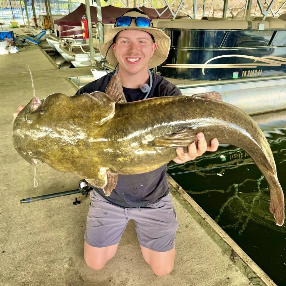 @Quick Catch and Release