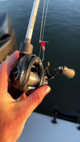 Can your baitcaster handle a shark?