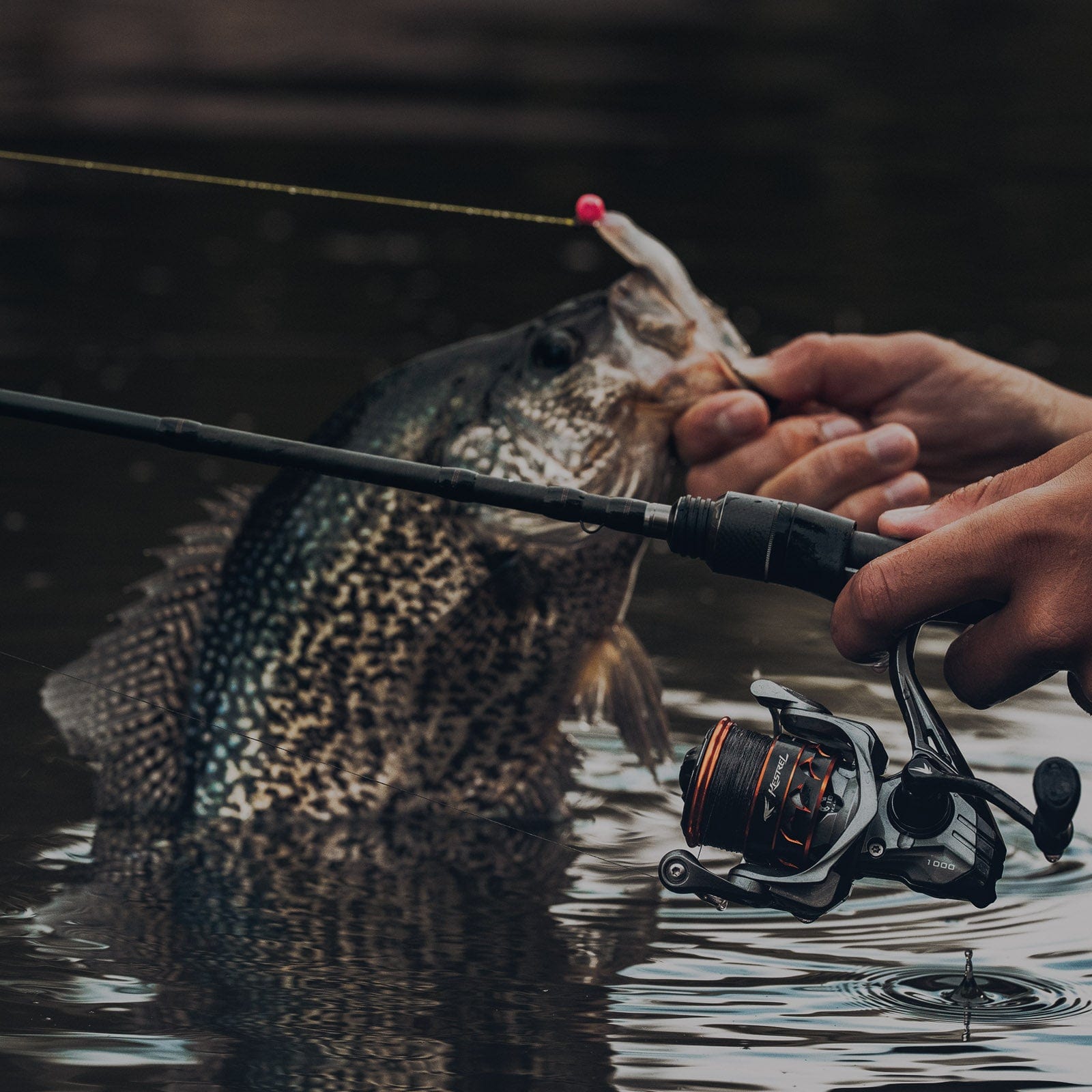 fish rod and reel KastKing Kestrel SFS Fishing Combo