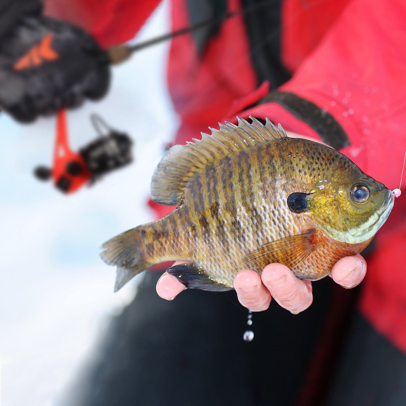 CGi inline reel - Ice Fishing Minnesota - Outdoor Minnesota
